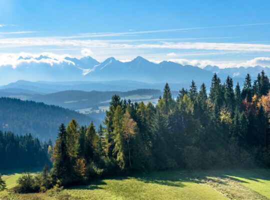 The Mountains