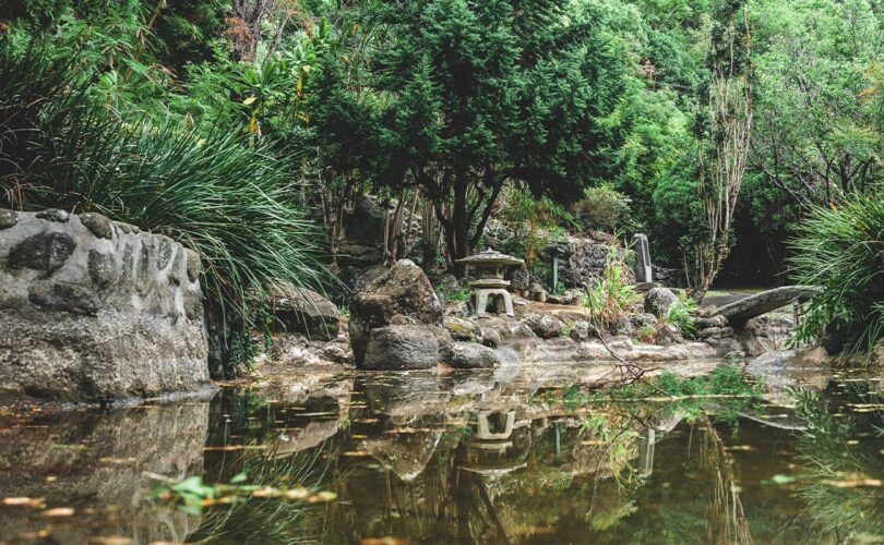 Botanical Garden